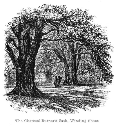 The Charcoal Burners Path av Walter Crane